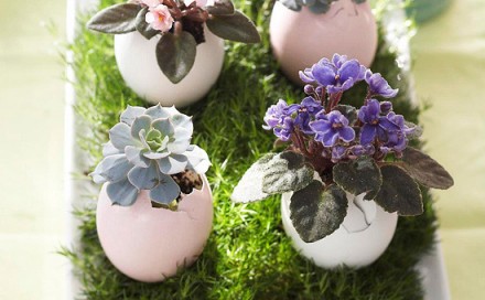 Egg Shell Planters