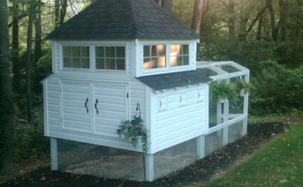 DIY Chicken Coop