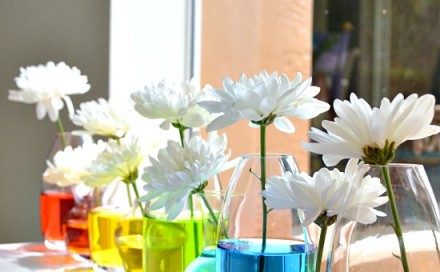 Rainbow Centrepiece