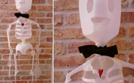 Milk Jug Skeleton
