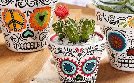 Daisy Eyes Sugar Skull